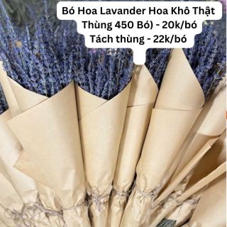 Hoa lavander giá sỉ