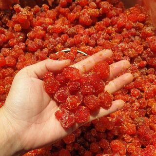 CHÙM RUỘT CHANH MUỐI SIÊU NGON ĐẶC BIỆT - WINNIE HOUSE