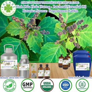 Tinh dầu Hoắc Hương Patchouli essential oil thanh lọc không khí hiệu quả - 100ml