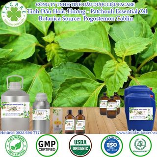 Tinh dầu Hoắc Hương Patchouli essential oil thanh lọc không khí hiệu quả - 100ml