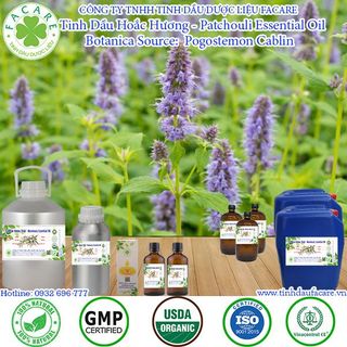 Tinh dầu Hoắc Hương Patchouli essential oil thanh lọc không khí hiệu quả - 100ml