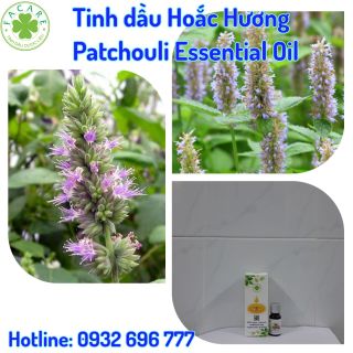 Tinh dầu Hoắc Hương Patchouli essential oil thanh lọc không khí hiệu quả - 50ml giá sỉ
