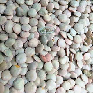 Đậu lăng xanh dùng làm sữa hạt, bột ngũ cốc dinh dưỡng, ăn chế độ thực dưỡng, ăn chay