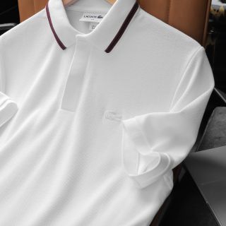 Áo thun nam polo chất cotton, áo thun cổ bẻ nam cao cấp, chất cotton  pique Mền mịn - size từ 55kg - 85kg