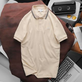 Áo thun nam polo chất cotton, áo thun cổ bẻ nam cao cấp, chất cotton  pique Mền mịn - size từ 55kg - 85kg