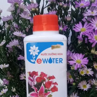 NƯỚC DƯỠNG HOA TƯƠI EWATER 600ML