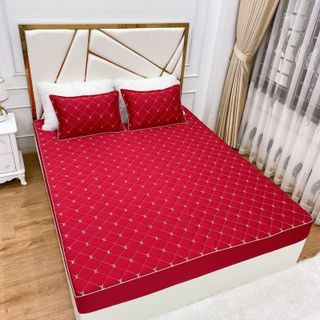 Bộ ga gối phi lụa LV trần bông