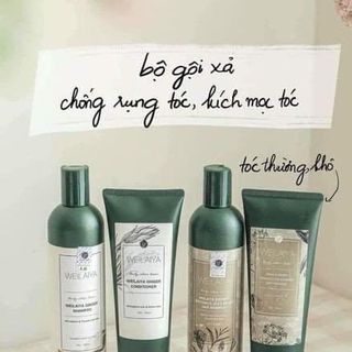 Cặp Dầu Gội Xả Gừng Weilaiya
