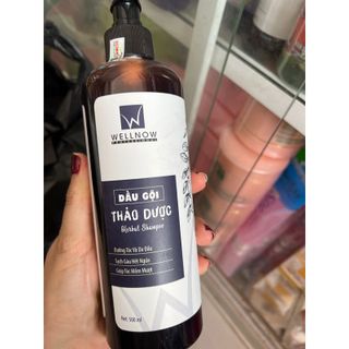 Dầu Gội Thảo Dược WellNow 500ml