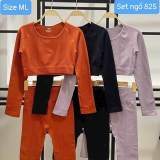 Set ngố 825 3 màu size ml mới nhất 2023 Thể Thao cao cấp Siêu Đẹp Giá Sỉ,