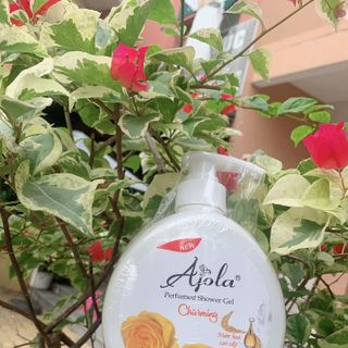 Sữa tắm hương nước hoa Ajola Charning cao cấp 1200ml