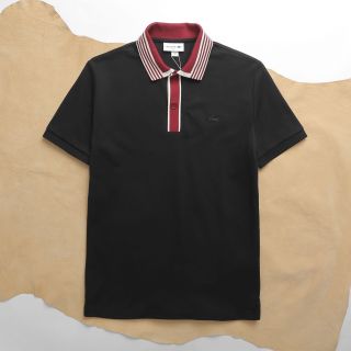 Áo thun polo nam chất cotton, áo phông nam cao cấp, chất cotton gai  pique - size từ 55kg - 85kg