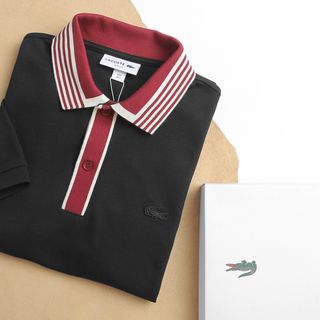 Áo thun polo nam chất cotton, áo phông nam cao cấp, chất cotton gai  pique - size từ 55kg - 85kg