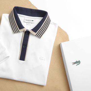 Áo thun polo nam chất cotton, áo phông nam cao cấp, chất cotton gai  pique - size từ 55kg - 85kg