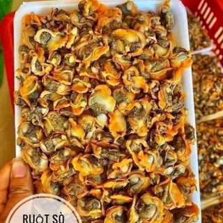 Ruột sò huyết