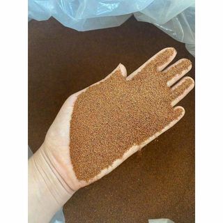 Gia Công Hạt Ngũ Hoa
(Bảng giá đang tính từ 1 kg  và áp dụng cho đơn hàng từ 1 kg trở lên)