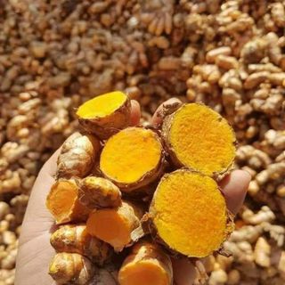 Gia Công Tinh Bột Nghệ Nguyên Chất
(Bảng giá đang tính từ 1 kg  và áp dụng cho đơn hàng từ 1 kg trở lên )