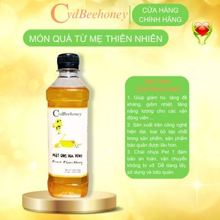 Mật Ong Rừng 430ml (600g) Cvdbeehoney - Forest Flower Honey