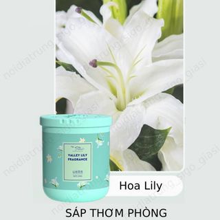 Hộp Sáp Thơm Khử Mùi, Diệt Khuẩn Mọi Không Gian - Sáp Thơm Phòng Kháng Khuẩn