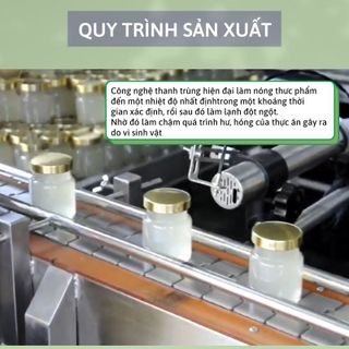 Tổ Yến Chưng Táo đỏ LamNest tươi nguyên chất 30% yến 70ml - yensaocaocaplamnest