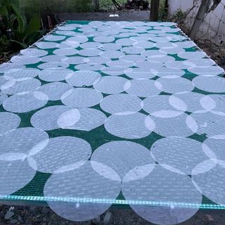 Bánh tráng phơi sương tròn