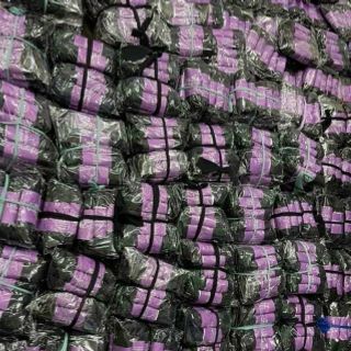 Quần legging lửng, chất co giản tốt
