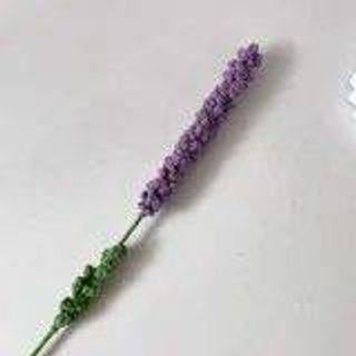 CÀNH HOA LAVENDER
