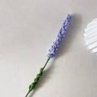 CÀNH HOA LAVENDER