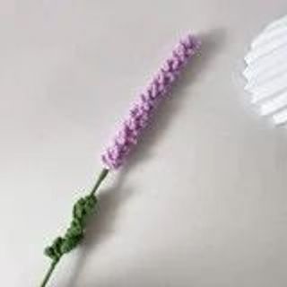 CÀNH HOA LAVENDER