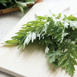 Bột Ngãi Cứu Ngâm Chân