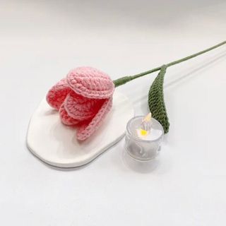 CÀNH HOA TULIP