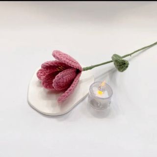 CÀNH HOA TULIP