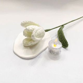CÀNH HOA TULIP