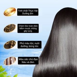 Dầu Gội Nhuộm Tóc tinh xuất Thực Vật ,dưỡng ẩm, mềm mượt tóc. Không gây kích ứng, 1hop 10goi (Hàng, Giá Tận Xưởng)
