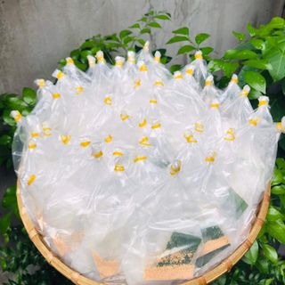 Bánh Tráng Muối Nhuyễn Mini