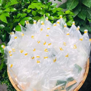 Bánh Tráng Muối Nhuyễn Mini