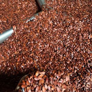 Hạt Dưa rang củi 10kg giá sỉ giá bán buôn số lượng - háng xá thương hiệu Hren Coffee