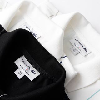 Áo thun polo nam chất cotton, áo phông nam cao cấp, chất Cotton 4c chính phẩm, bo dệt đồng màu, chất vải dày dặn, mát mịn - size từ 55kg - 85kg