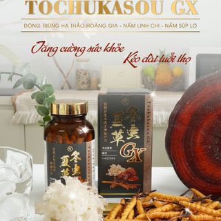 Viên uống Đông trùng hạ thảo Tochukasou GX - Reiperfect