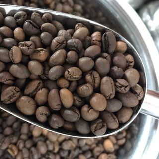 Cà Phê Culi Robusta ( Bi Ro )