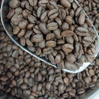 Cà Phê Arabica Lâm Đồng