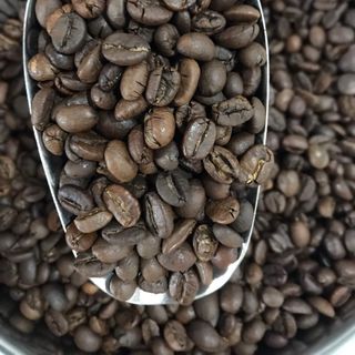 Dòng phối hạt Đam Mê 2 Mộc (Pha máy - Pha Phin)