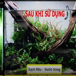 Viên nén Vi sinh Oxy làm trong nước hồ cá