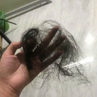 Dầu gội thảo dược