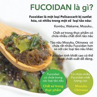 Fucoidan Okinawa Tăng Đề Kháng Miễn Dịch, Hạn Chế Oxy Hóa, Hỗ Trợ Phòng Ngừa Ung Bướu Genki Fami Nhật Bản