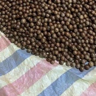 MACCA ĐẠI TÚI 500G