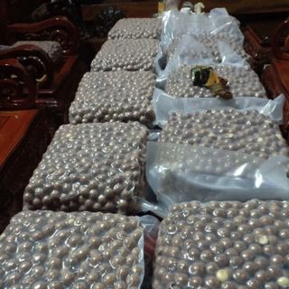 MACCA ĐẠI TÚI 500G