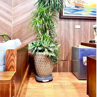 ĐỂ NHỰA KÊ CHẬU CÂY THÔNG MINH 33CM