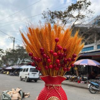 Bình túi tiền kèm bông lúa hút tài lộc