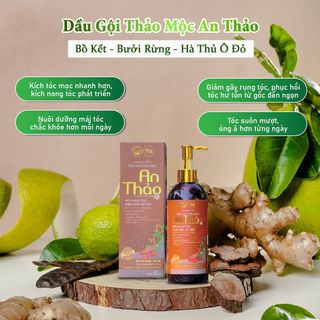 DẦU GỘI THẢO MỘC AN THẢO 300ml - 100% TỪ THIÊN NHIÊN